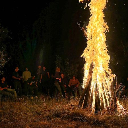 מלון Novaci Conacul Bunicilor מראה חיצוני תמונה